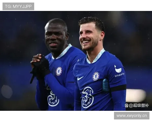 恩佐亿元身价是否合理：战术价值与市场溢价分析