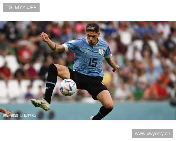 巴尔韦德的国际地位:乌拉圭中场核心解析 巴尔韦德的国际地位:乌拉圭中场核心解析