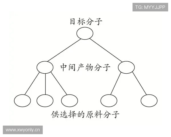 E组各队晋级路径分析